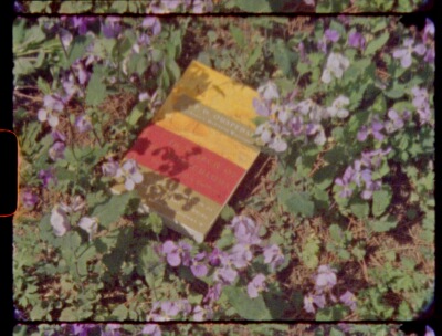 1-3 عبوات Kodak Vision3 Super  - مراجعة Instant Film Pack وسعره