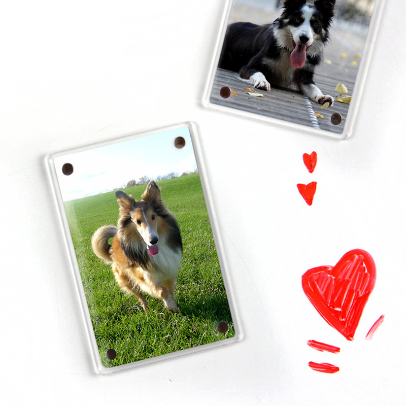 إطار صور مغناطيسي أكريليك للثل - مراجعة Instant Film Pack وسعره